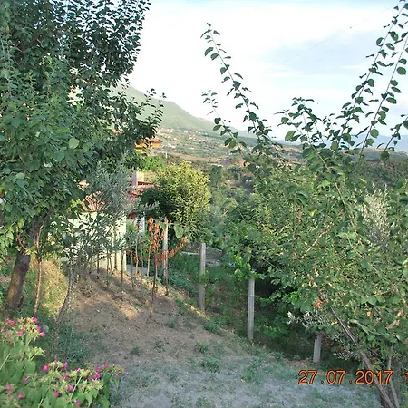 Farm House 펜션 *