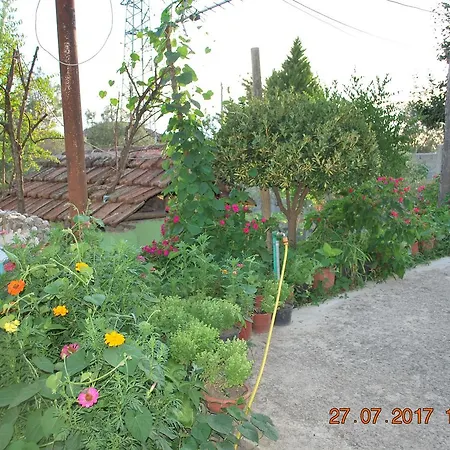 Farm House * Surrel