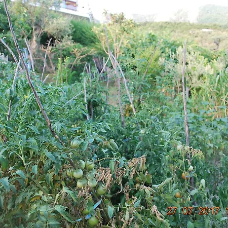 펜션 Farm House