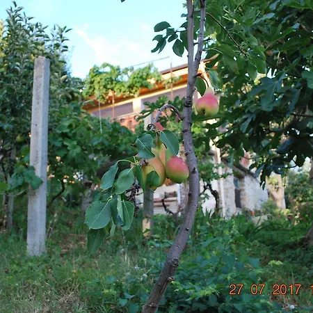 Farm House 펜션 Surrel