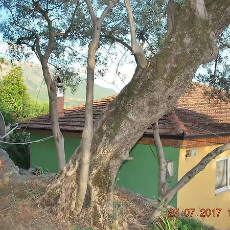 Farm House 펜션