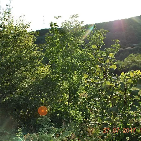 Farm House 펜션 *