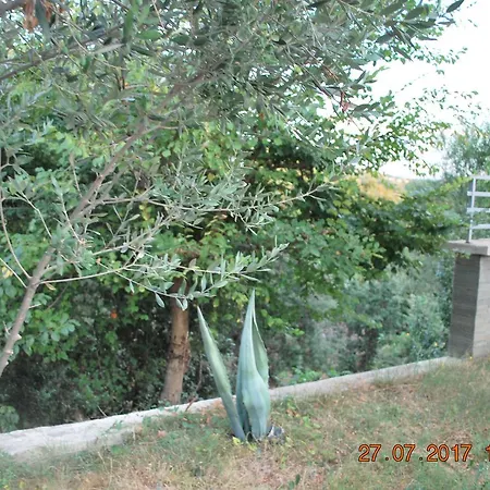 펜션 Farm House