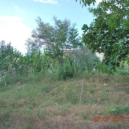 Farm House