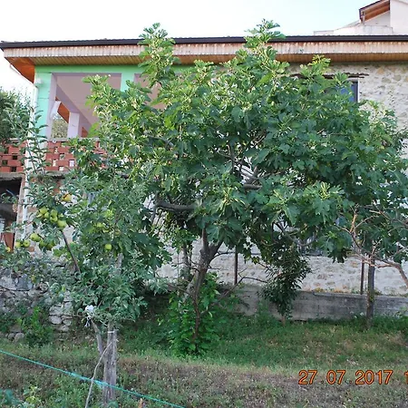 Farm House 펜션 *