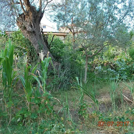 Farm House 펜션 *